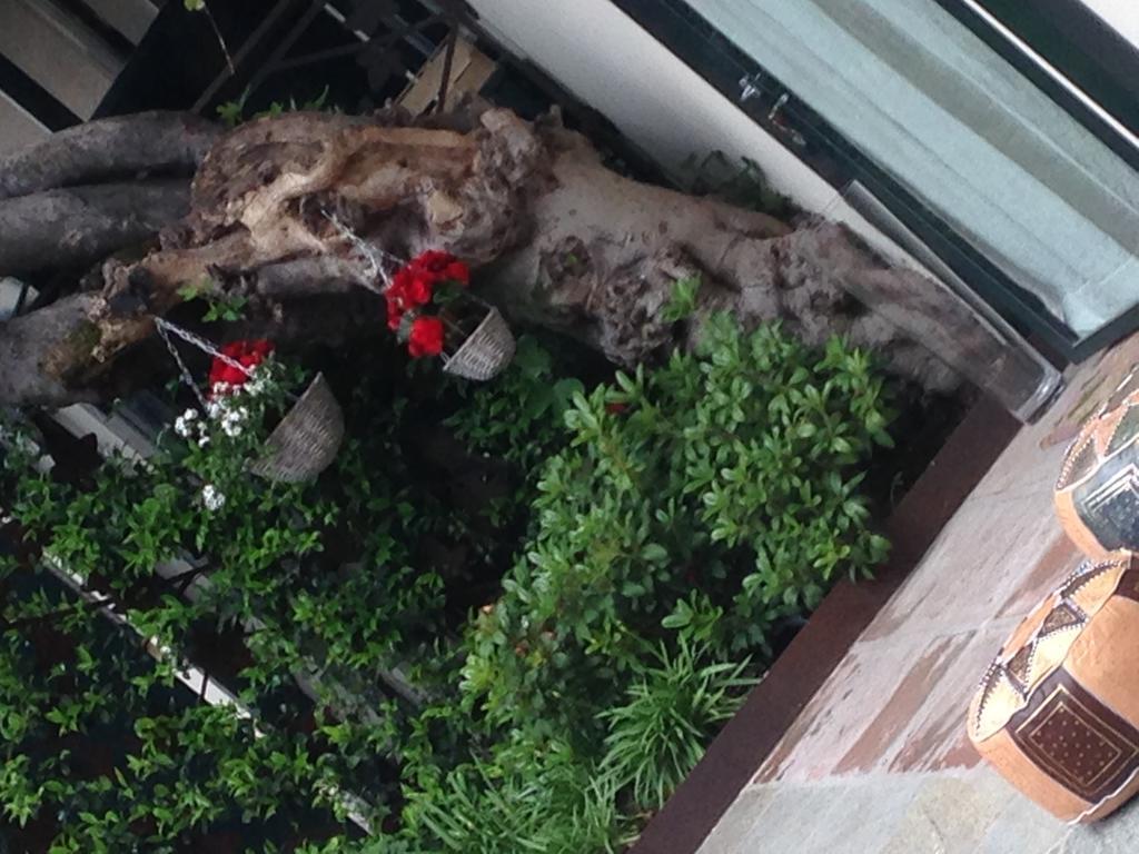 Casa La Ringhera Cesano Maderno Dış mekan fotoğraf